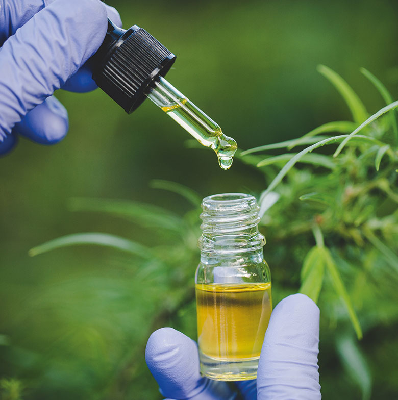 Cannabis-oli-sezione-oli-e-resine